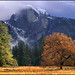 Gary Meadows Photo 38