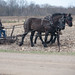Tom Wold Photo 20