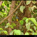 Bruce Green Photo 9
