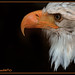 Blanca Carrion Photo 7