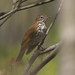 Marty Wood Photo 29