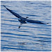 Robert Engle Photo 8