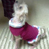 Patricia Keene Photo 12