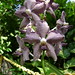 Mary Motes Photo 20