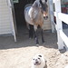 Betty Finn Photo 5