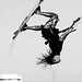 Shawn Power Photo 10