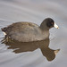 Grace Coots Photo 6