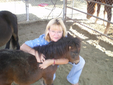Sue Davis Photo 21