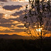 Joseph Spivey Photo 32