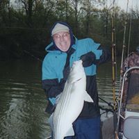 Don Willson Photo 18