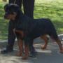 Larry Nicholson Photo 11
