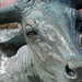 Robert Summers Photo 29