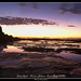 Susan Rock Photo 13
