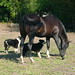 Bobbie Her Photo 12