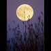 Jim Hunter Photo 25