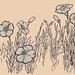 Alice Copeland Photo 19