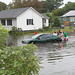 Elizabeth Flood Photo 5