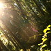 Kathryn Sherman Photo 38