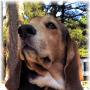 Debra Coleman Photo 6