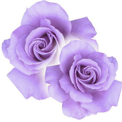 Evelyn Rose Photo 6