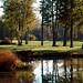 Karen Bridges Photo 19