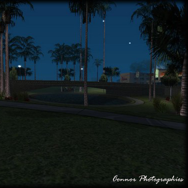 Charles Connor Photo 27