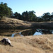 Todd Wilkinson Photo 42