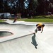 Ollie Johnson Photo 13