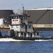 Robert York Photo 18