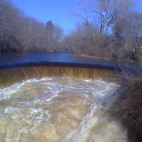 Linda Matteson Photo 18