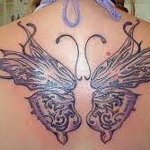 Amanda Littrell Photo 13