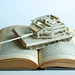 Stephen Hanes Photo 9