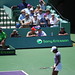 William Harrelson Photo 24