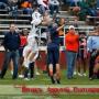 Jeff Langley Photo 23