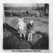 Phyllis Robinson Photo 10