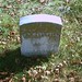 William Mcdowell Photo 36