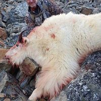 Robert Kearns Photo 30