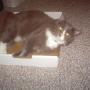 Gerri Roberts Photo 21