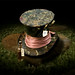 Alice Pai Photo 16
