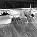 Lynn Merrell Photo 5