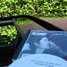 Carole Summers Photo 3