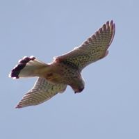 Philip Warner Photo 7
