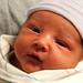 Thomas Conner Photo 26