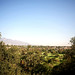 Rose Arroyo Photo 8