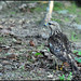 Jay Dougherty Photo 4