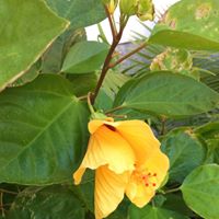 Donna Weeks Photo 35