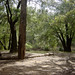 Sue West Photo 22