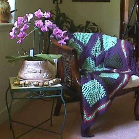 Carol Bond Photo 15