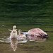 Mark Hessian Photo 7