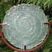 Shirley Thurston Photo 12